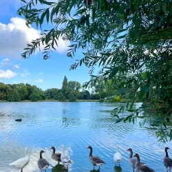 Parc Paysager - Saint-Nazaire