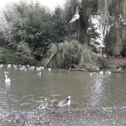 Parc Paysager - Saint-Nazaire