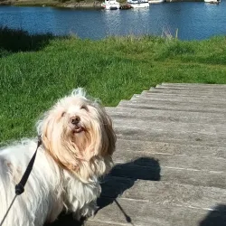 Saint-Nazaire Marina - Saint-Nazaire