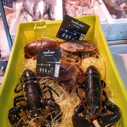 Le Parc de la Moutète - Salies-de-Béarn