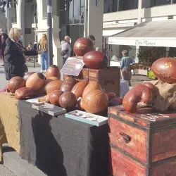 Le Parc de la Moutète - Salies-de-Béarn