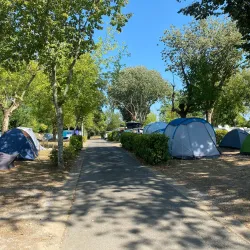 Old Saltworks (Anciennes Salines) - Salies-de-Béarn