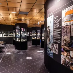 Espace Tairraz - Sallanches