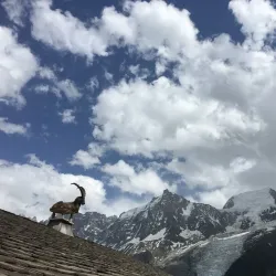 Parc de Merlet - Sallanches