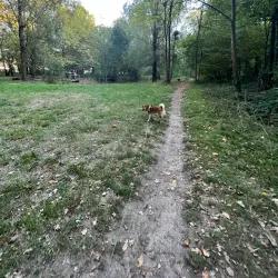 Parc de la Butte Verte - Sarcelles