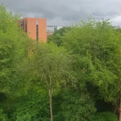 Parc de la Butte Verte - Sarcelles