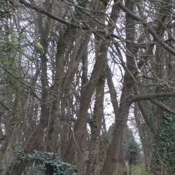 Parc de la Butte Verte - Sarcelles