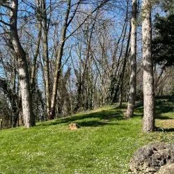 Parc de la Butte Verte - Sarcelles