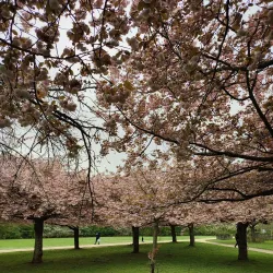 Parc du Sausset - Sarcelles
