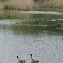 Parc du Sausset - Sarcelles