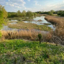 Parc du Sausset - Sarcelles