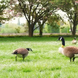 Parc du Sausset - Sarcelles