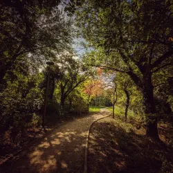 Parc des Coudrais - Sartrouville
