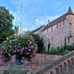 Château des Rohan - Saverne