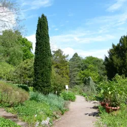 Jardin Botanique du Château de Saverne - Saverne
