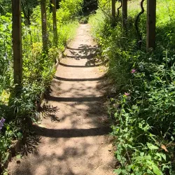 Jardin Botanique du Château de Saverne - Saverne