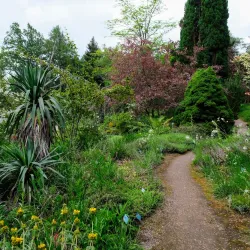 Jardin Botanique du Château de Saverne - Saverne
