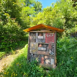 Jardin Botanique du Château de Saverne - Saverne