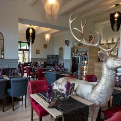 Le Vieux Saverne - Saverne