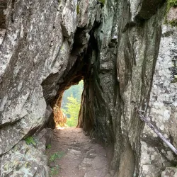 Sentier des Roches - Saverne