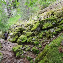 Sentier des Roches - Saverne