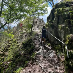 Sentier des Roches - Saverne