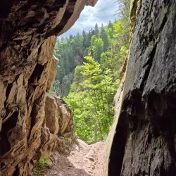 Sentier des Roches - Saverne