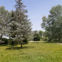 Base de Loisirs de Sénart - Savigny-le-Temple