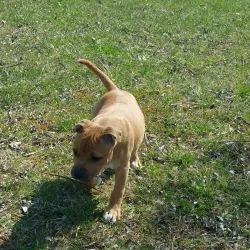 Base de Loisirs de Sénart - Savigny-le-Temple
