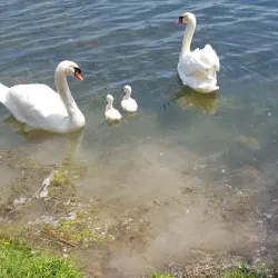 Base de Loisirs de Sénart - Savigny-le-Temple