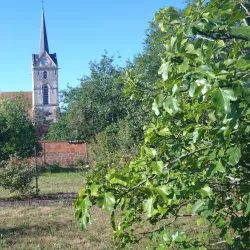 Église Saint-Saturnin - Savigny-le-Temple