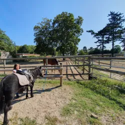 Parc du Château de Savigny - Savigny-le-Temple