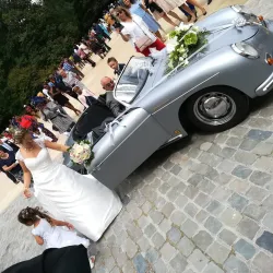 Parc du Château de Savigny - Savigny-le-Temple