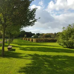 Parc du Château de Savigny - Savigny-le-Temple