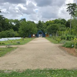 Parc du Château de Savigny - Savigny-le-Temple