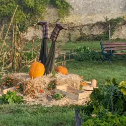 Parc du Château de Savigny - Savigny-le-Temple