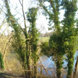 Parc du Moulin à Vent - Savigny-le-Temple