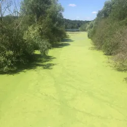 Parc du Moulin à Vent - Savigny-le-Temple