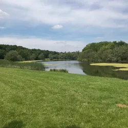 Parc du Moulin à Vent - Savigny-le-Temple