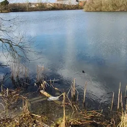 Parc du Moulin à Vent - Savigny-le-Temple