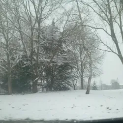 Parc du Moulin à Vent - Savigny-le-Temple