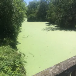 Parc du Moulin à Vent - Savigny-le-Temple