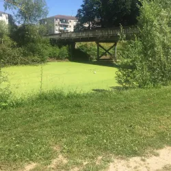 Parc du Moulin à Vent - Savigny-le-Temple