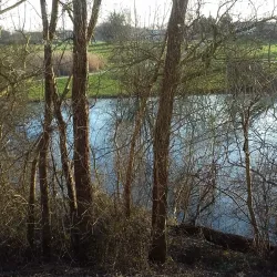 Parc du Moulin à Vent - Savigny-le-Temple