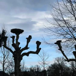 Parc de l'Orangerie - Strasbourg