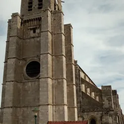 Église Saint-Martin d'Étampes - Étampes