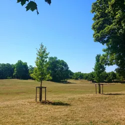 Le Parc aux Lièvres - Étampes