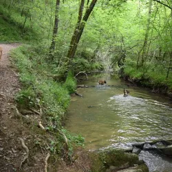 Sentier de la Forêt - Tartas