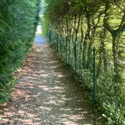 Sentier du Littoral - Thonon-les-Bains