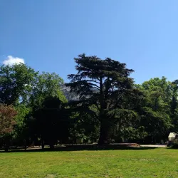 Parc du Las - Toulon